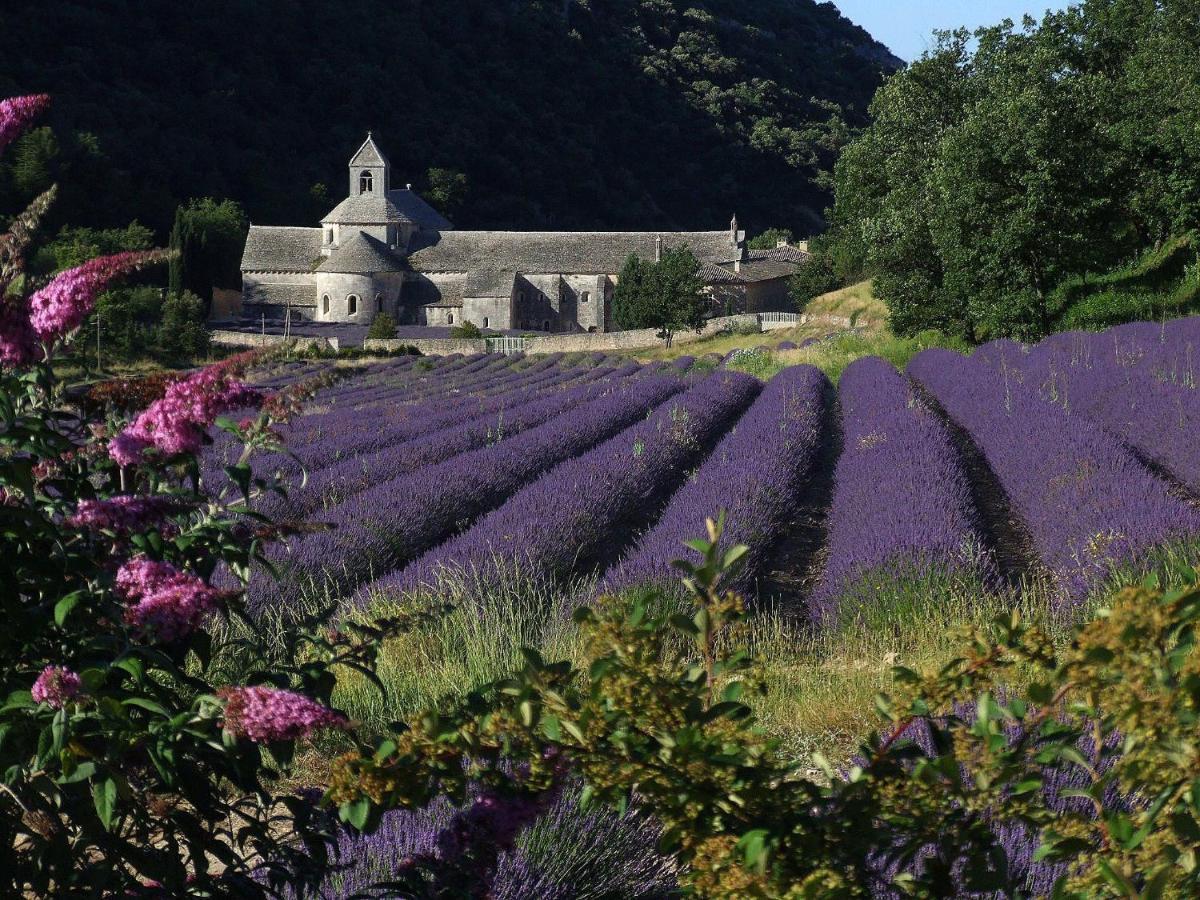Bed and Breakfast Les Cerises Saint-Saturnin-d'Apt Exteriér fotografie