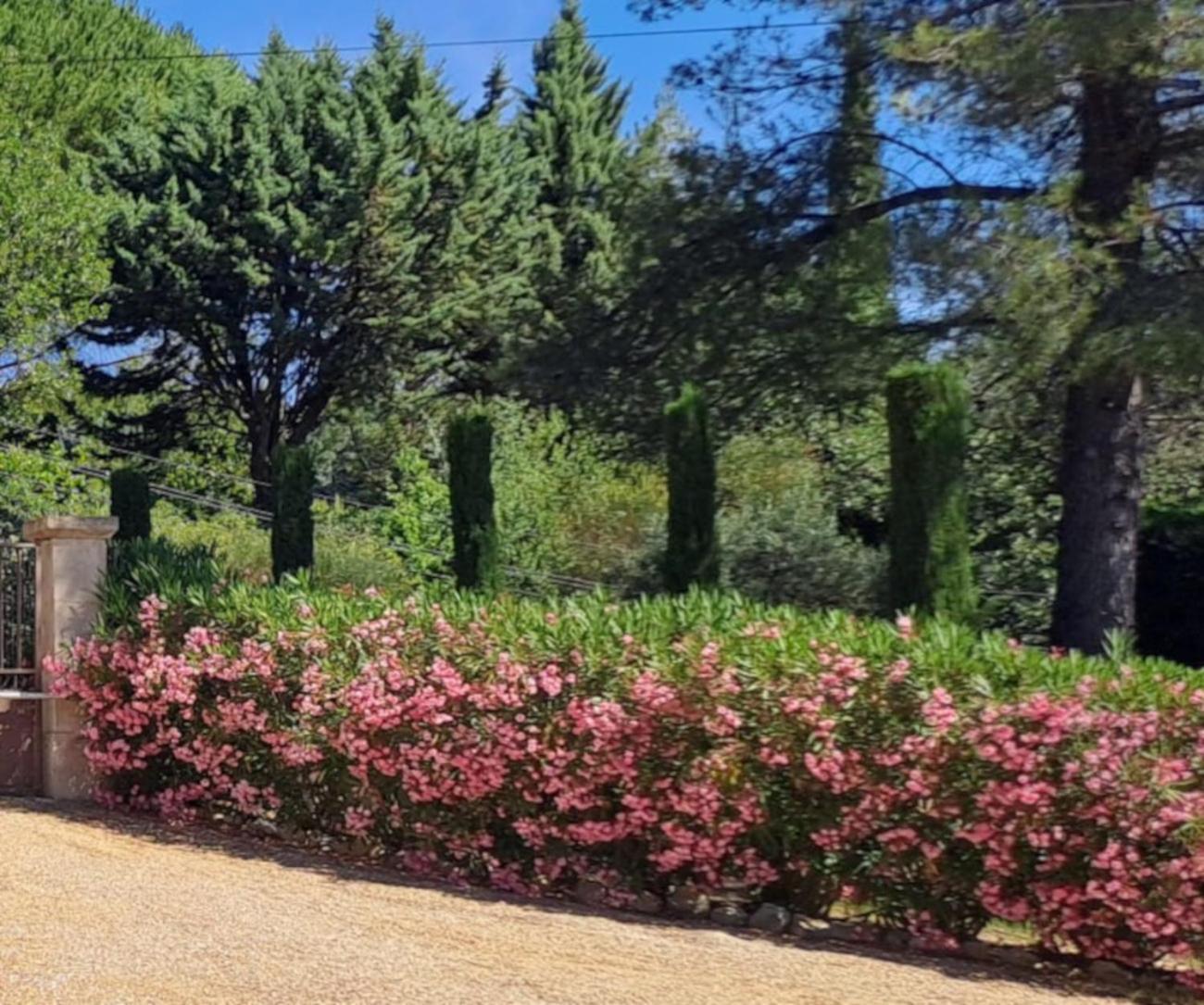 Bed and Breakfast Les Cerises Saint-Saturnin-d'Apt Exteriér fotografie